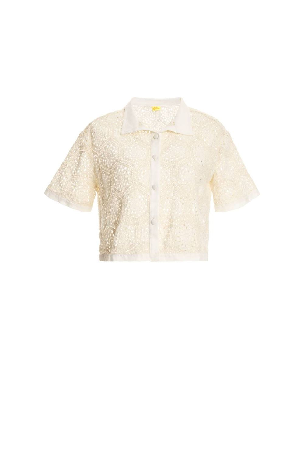 SHELL SEED 13502 SHIRT (S24)