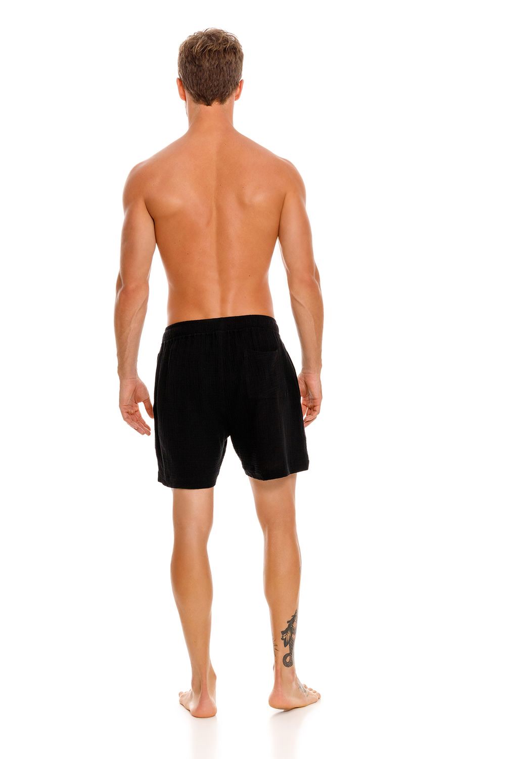 CECE HARVEST 15273 TRUNKS (R25)