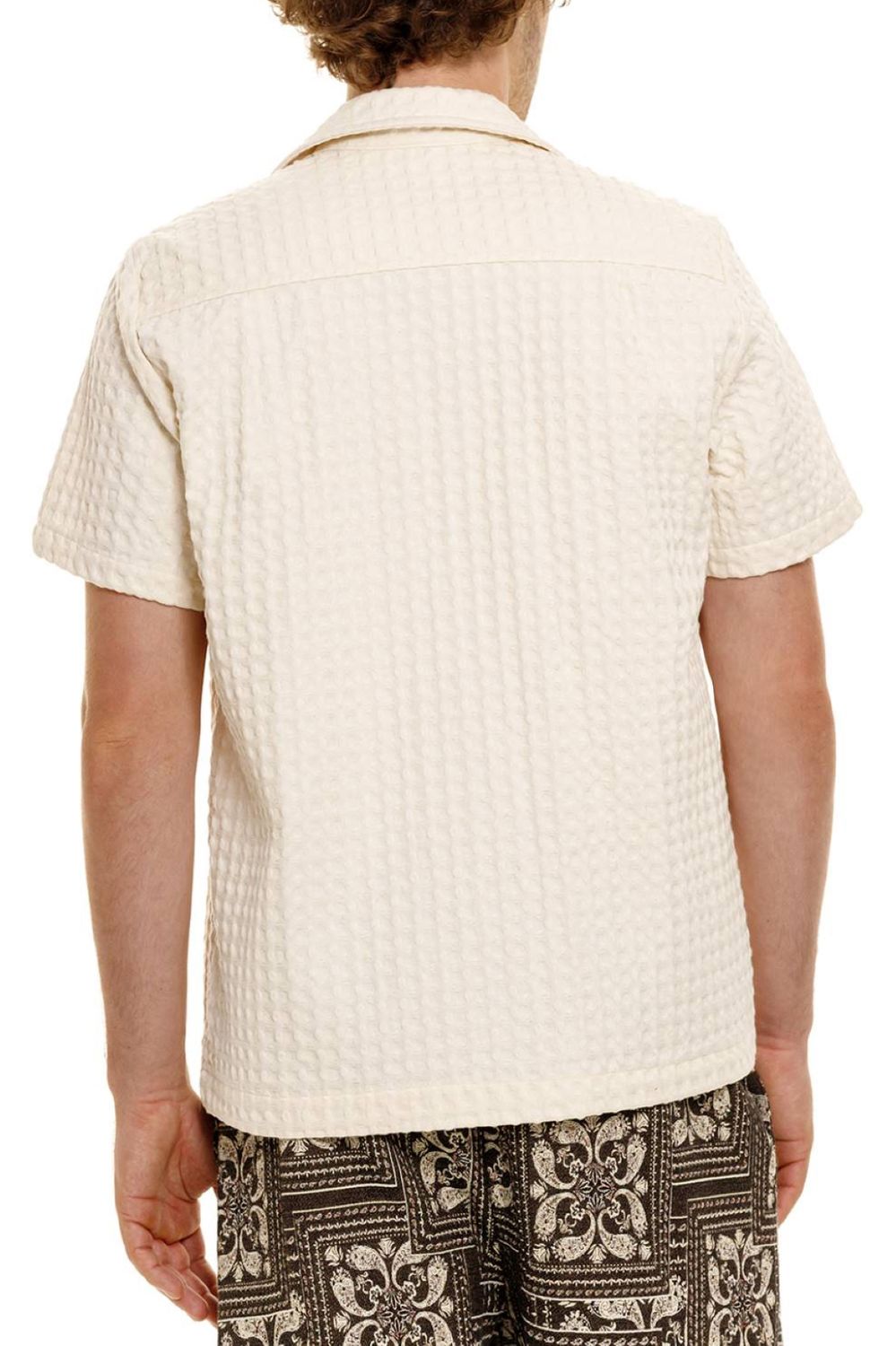 JACK CIPRÉS 14262 SHIRT  (S24)