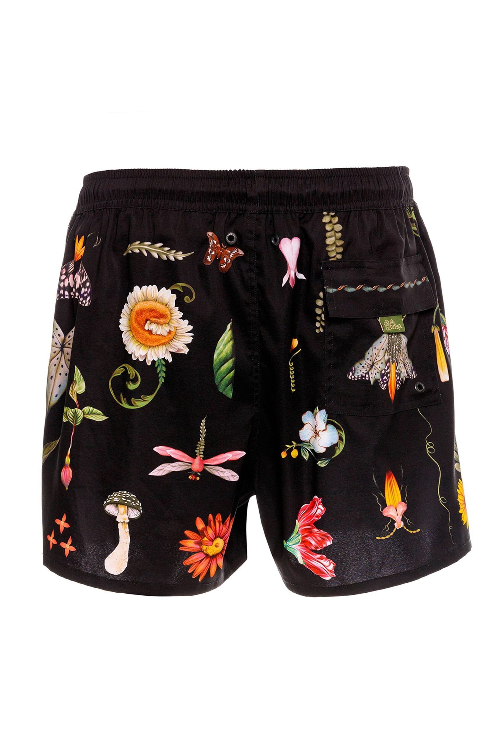 CASSIUS ÁMBAR 19310 TRUNKS (R26)