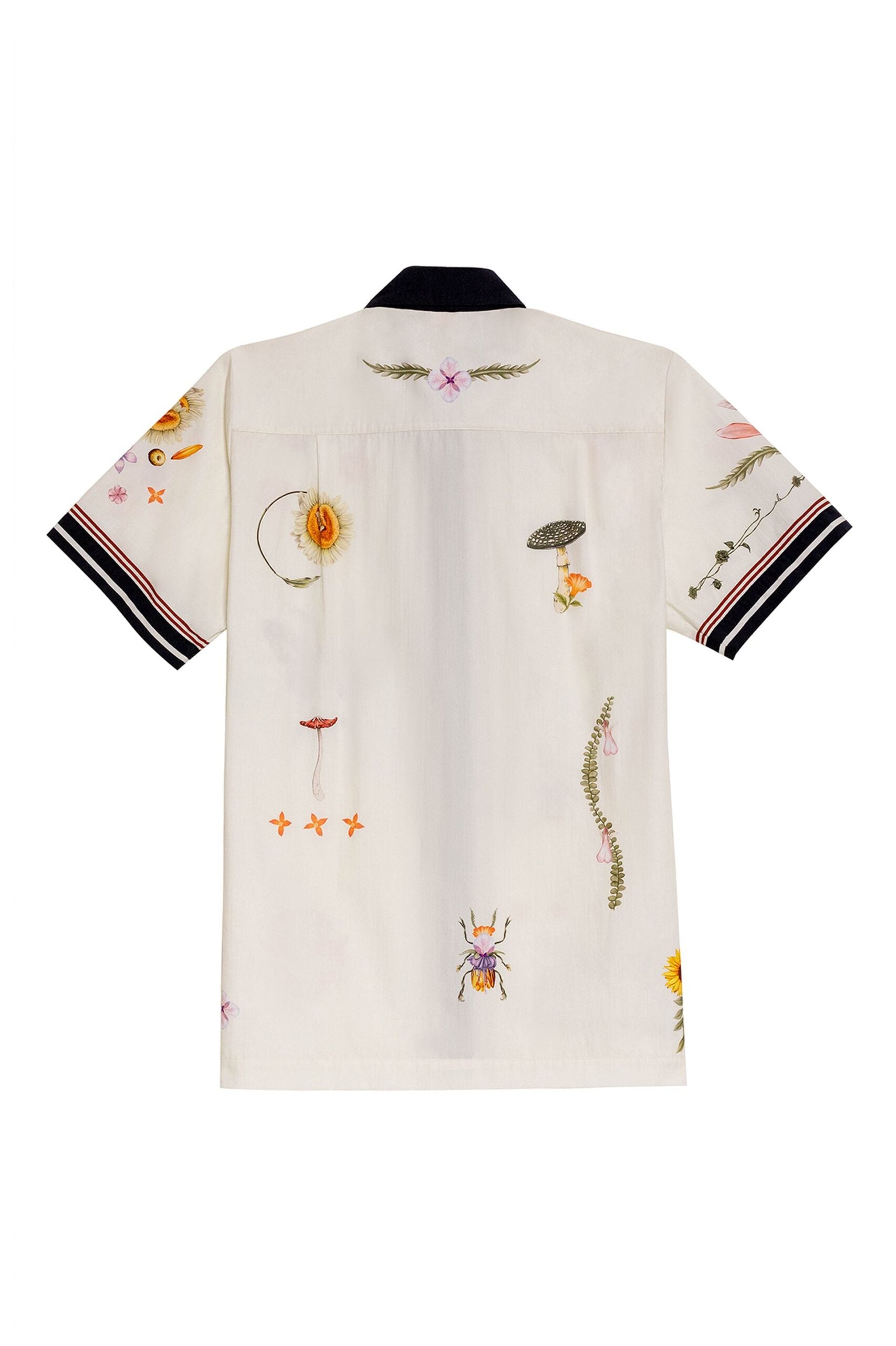 ALI ÁMBAR 19315 SHIRT (R26)